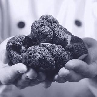 DE LA TERRA GOURMET 10